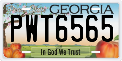 GA license plate PWT6565