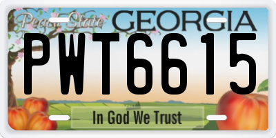 GA license plate PWT6615