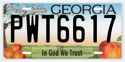 GA license plate PWT6617