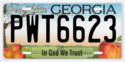 GA license plate PWT6623