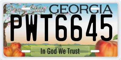 GA license plate PWT6645