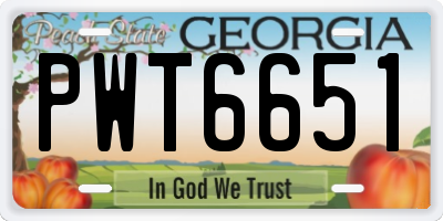 GA license plate PWT6651
