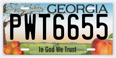 GA license plate PWT6655