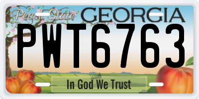 GA license plate PWT6763