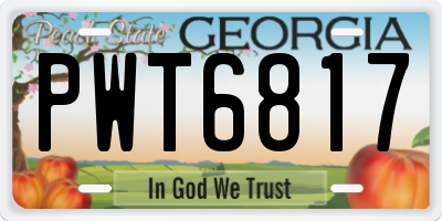 GA license plate PWT6817