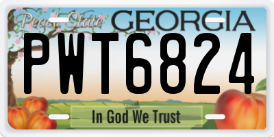 GA license plate PWT6824