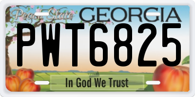 GA license plate PWT6825