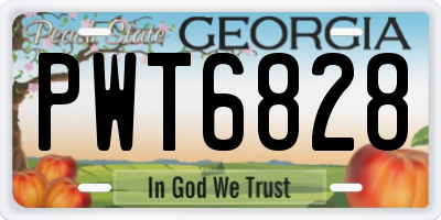 GA license plate PWT6828