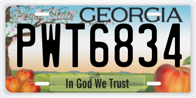 GA license plate PWT6834
