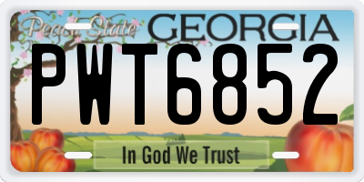GA license plate PWT6852