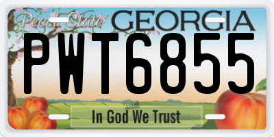 GA license plate PWT6855