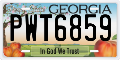 GA license plate PWT6859