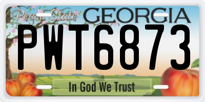 GA license plate PWT6873