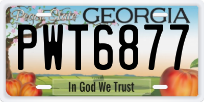 GA license plate PWT6877