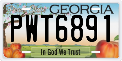GA license plate PWT6891