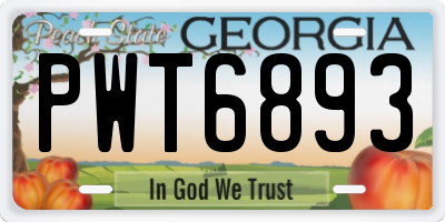 GA license plate PWT6893