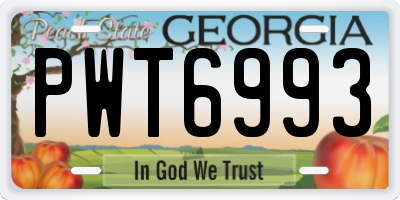 GA license plate PWT6993