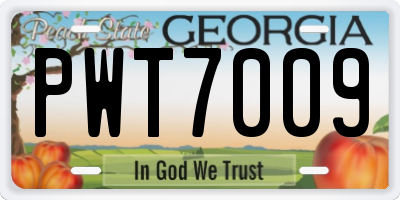 GA license plate PWT7009