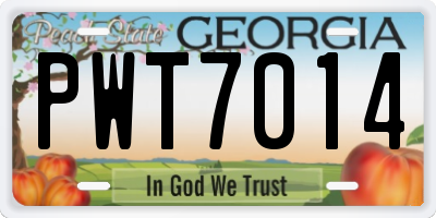 GA license plate PWT7014