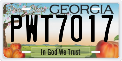 GA license plate PWT7017