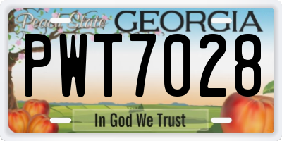 GA license plate PWT7028