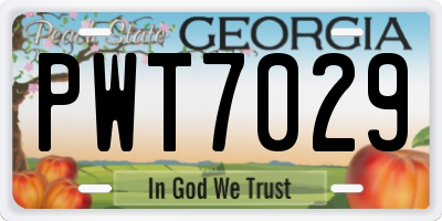 GA license plate PWT7029