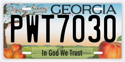 GA license plate PWT7030