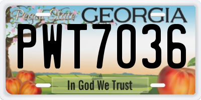 GA license plate PWT7036