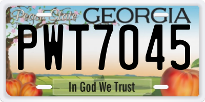 GA license plate PWT7045