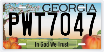GA license plate PWT7047