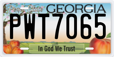 GA license plate PWT7065