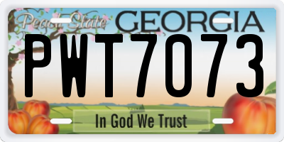 GA license plate PWT7073