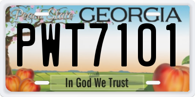 GA license plate PWT7101