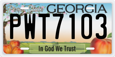 GA license plate PWT7103