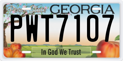 GA license plate PWT7107