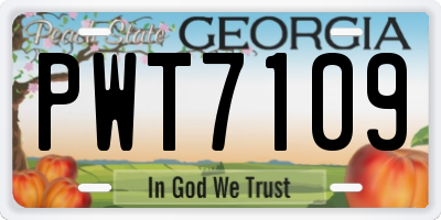 GA license plate PWT7109
