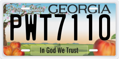 GA license plate PWT7110