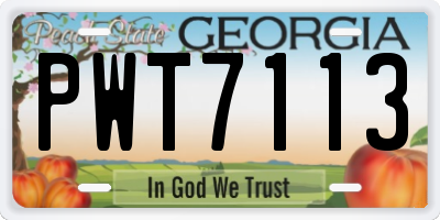 GA license plate PWT7113