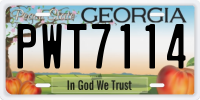 GA license plate PWT7114