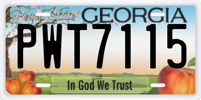 GA license plate PWT7115