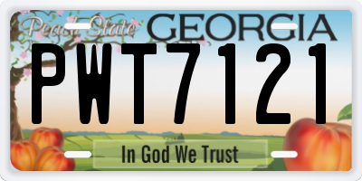 GA license plate PWT7121
