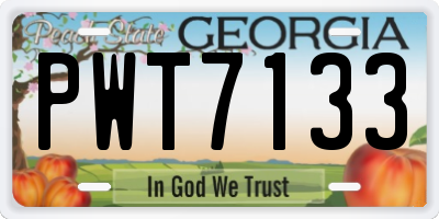 GA license plate PWT7133