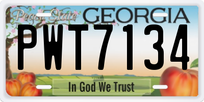 GA license plate PWT7134