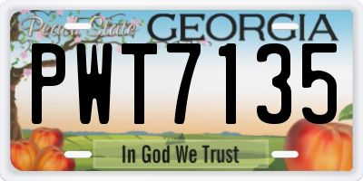 GA license plate PWT7135