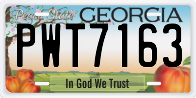 GA license plate PWT7163