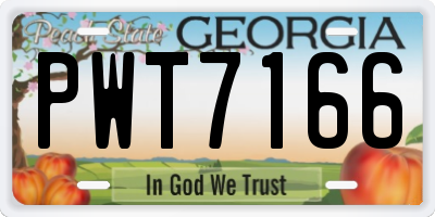 GA license plate PWT7166