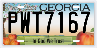 GA license plate PWT7167