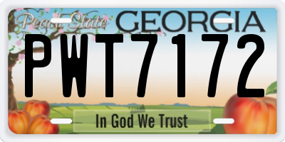GA license plate PWT7172