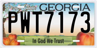 GA license plate PWT7173