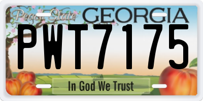GA license plate PWT7175